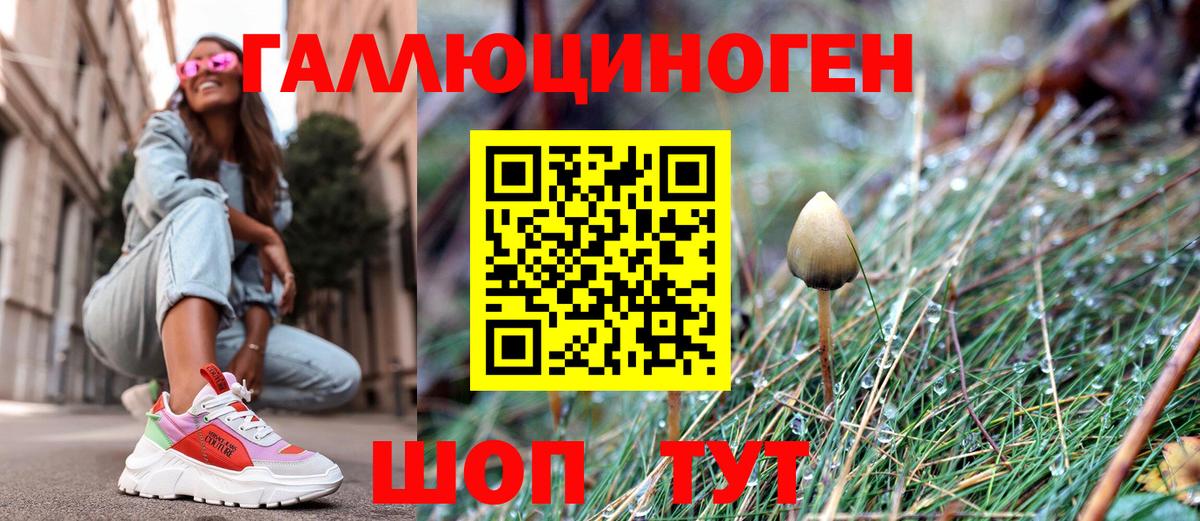 Галлюциногенные грибы GOLDEN TEACHER Бирск